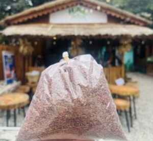 Red Taichin Millet – रातो ताइचिन चिउरा