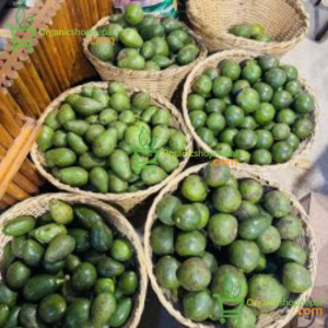 Local Avocardo - स्थानीय एवोकाडो