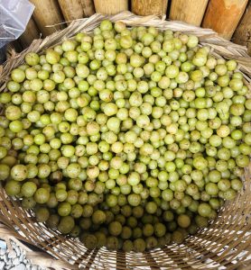 Nepali Gooseberry - स्थानीय-आँवला