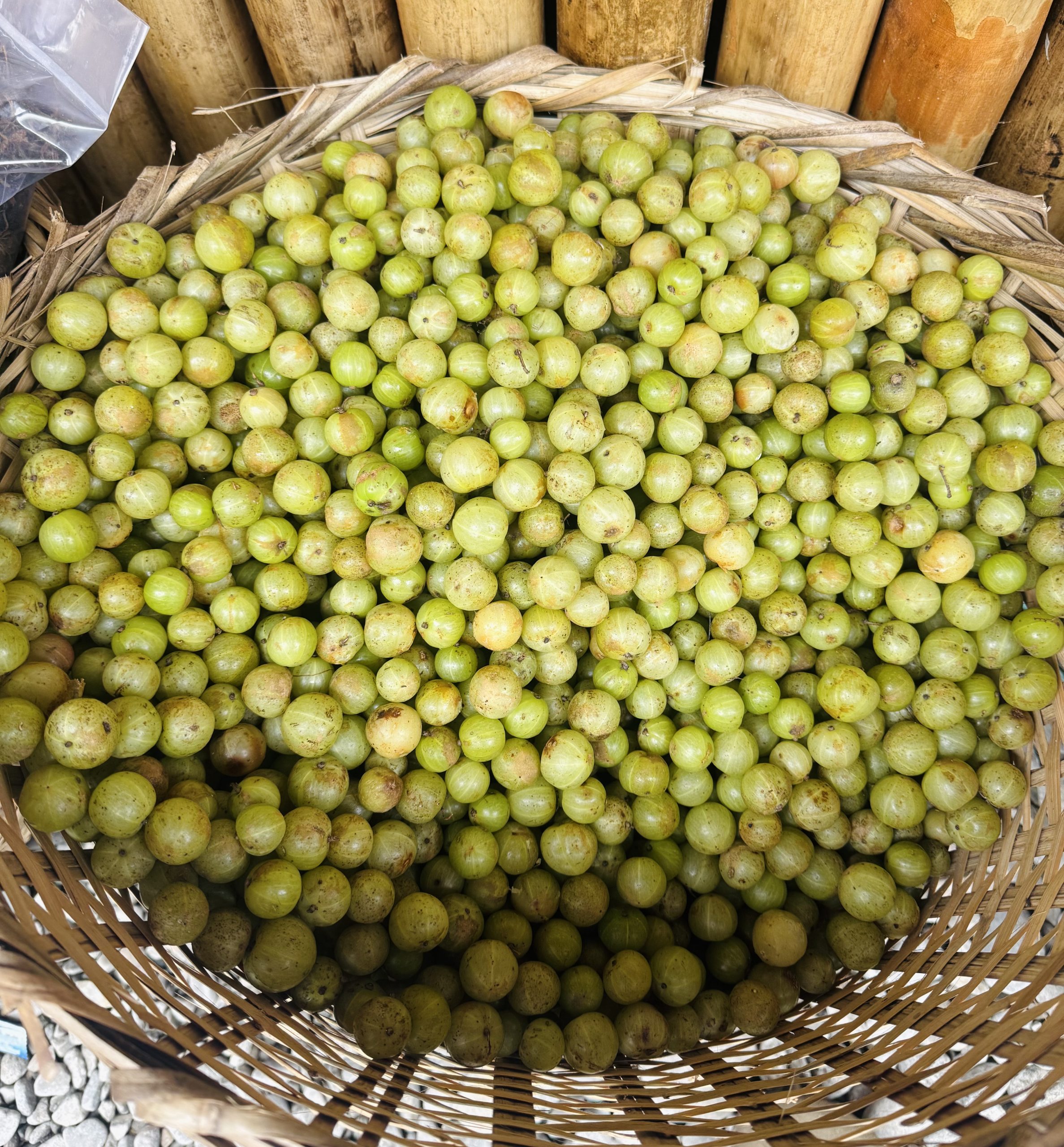 Nepali Gooseberry - स्थानीय-आँवला